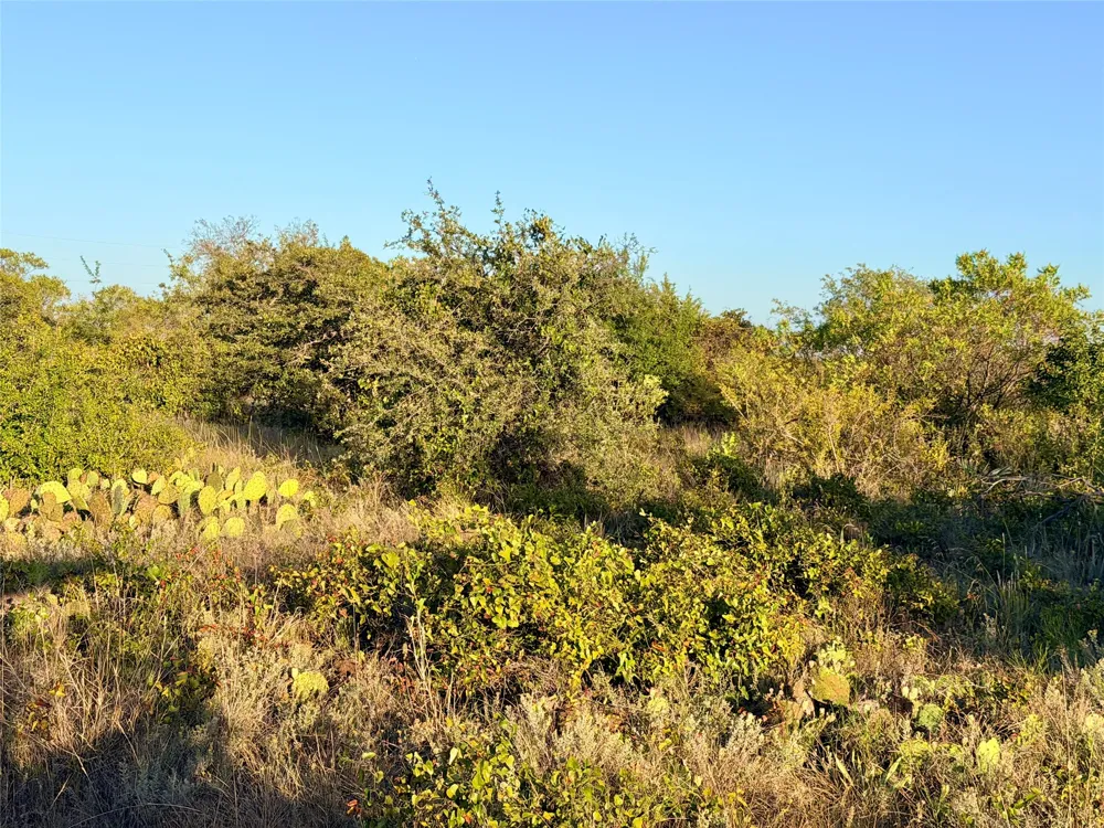 37 Pr 224 Goldthwaite, TX 76844