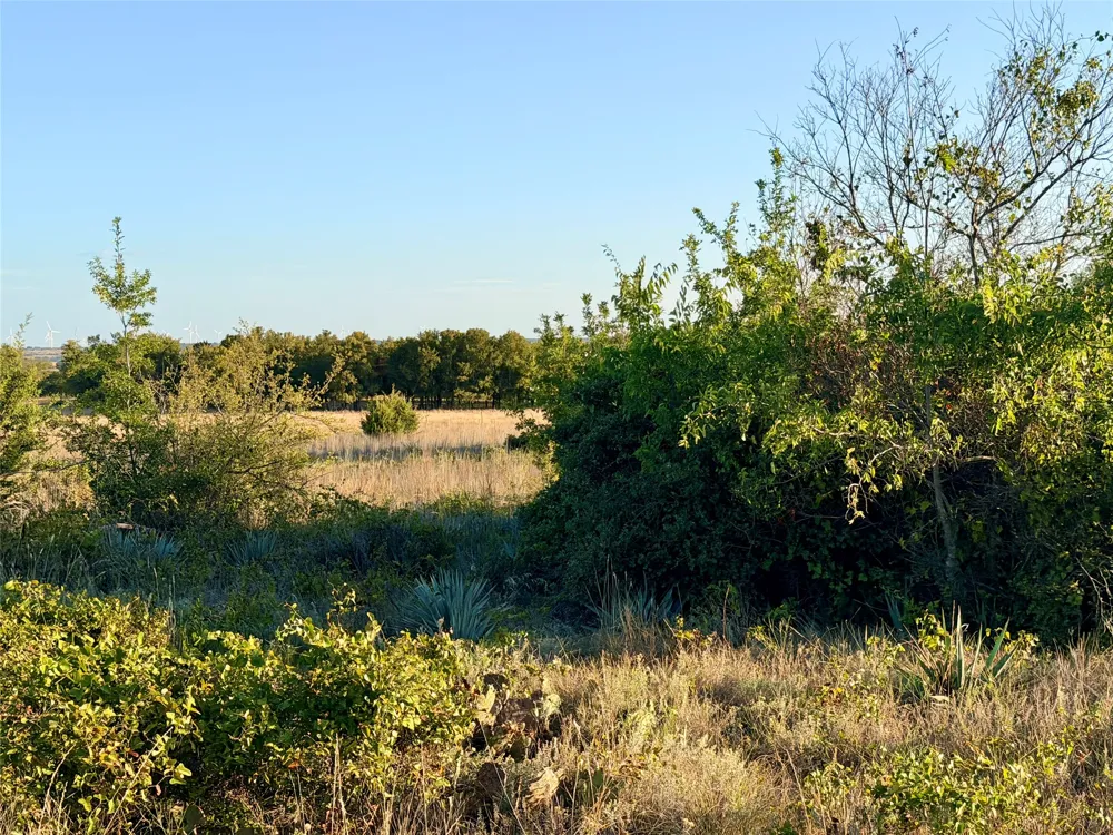 37 Pr 224 Goldthwaite, TX 76844