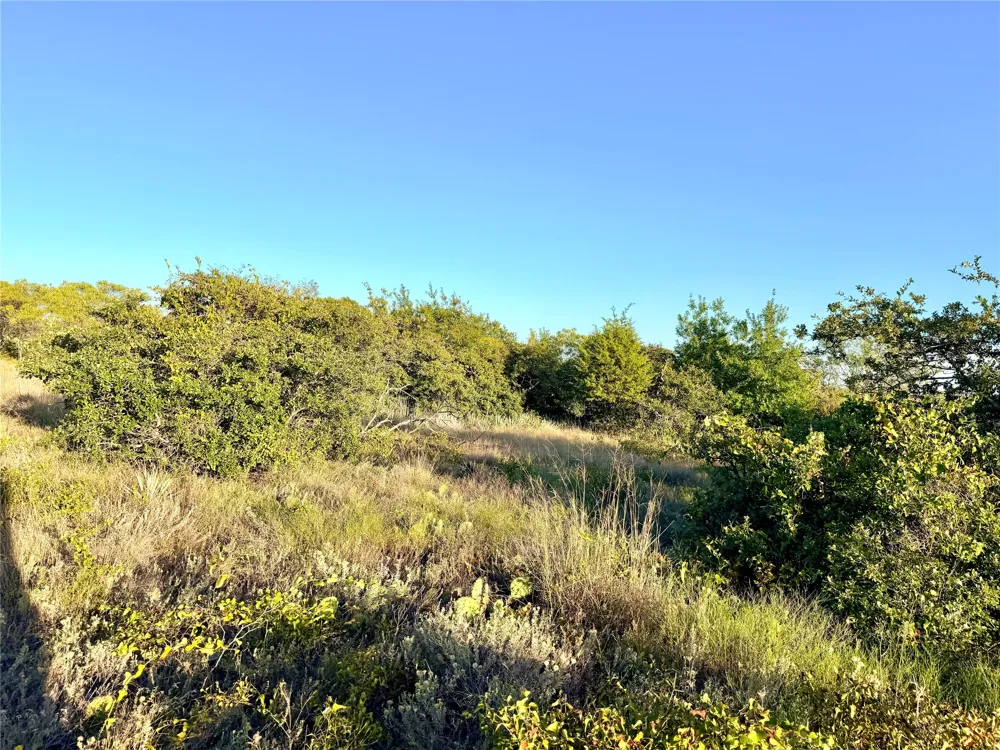 37 Pr 224 Goldthwaite, TX 76844