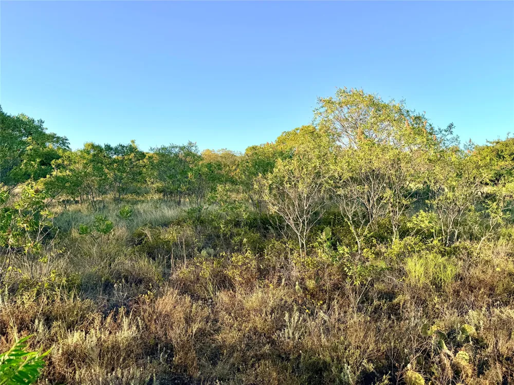 37 Pr 224 Goldthwaite, TX 76844