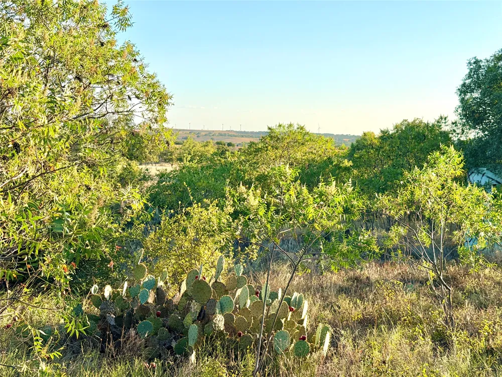37 Pr 224 Goldthwaite, TX 76844