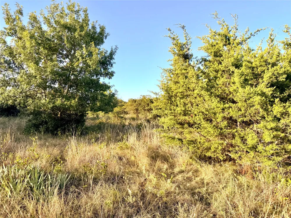 37 Pr 224 Goldthwaite, TX 76844