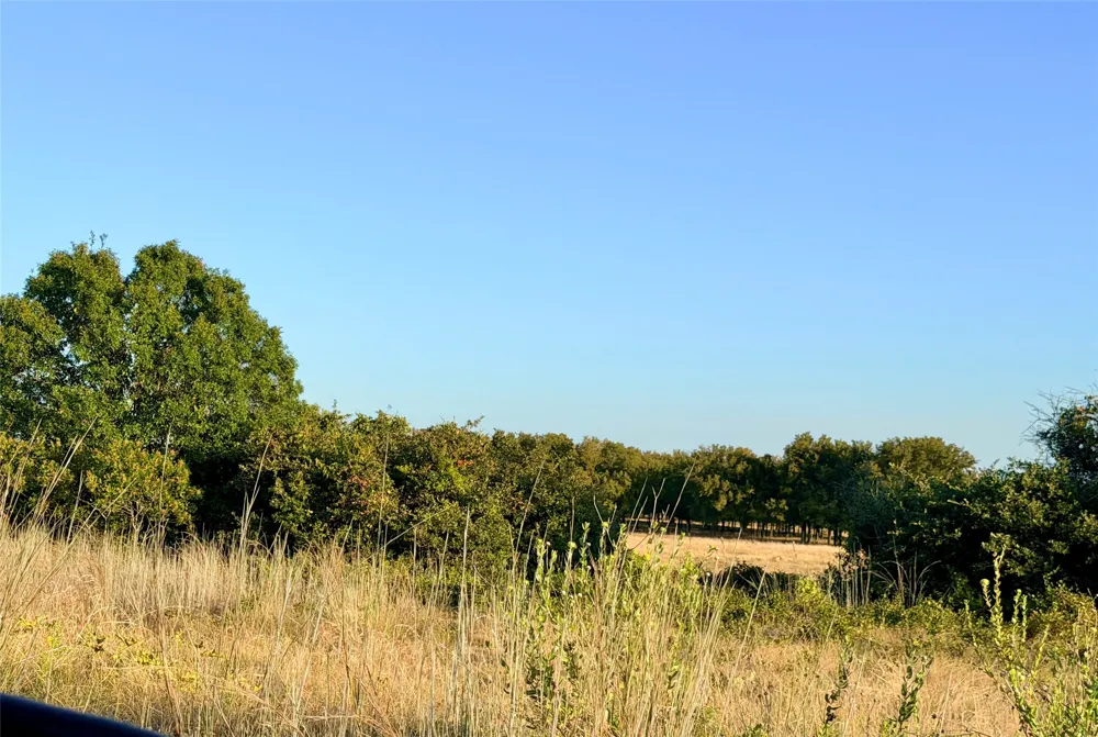 37 Pr 224 Goldthwaite, TX 76844