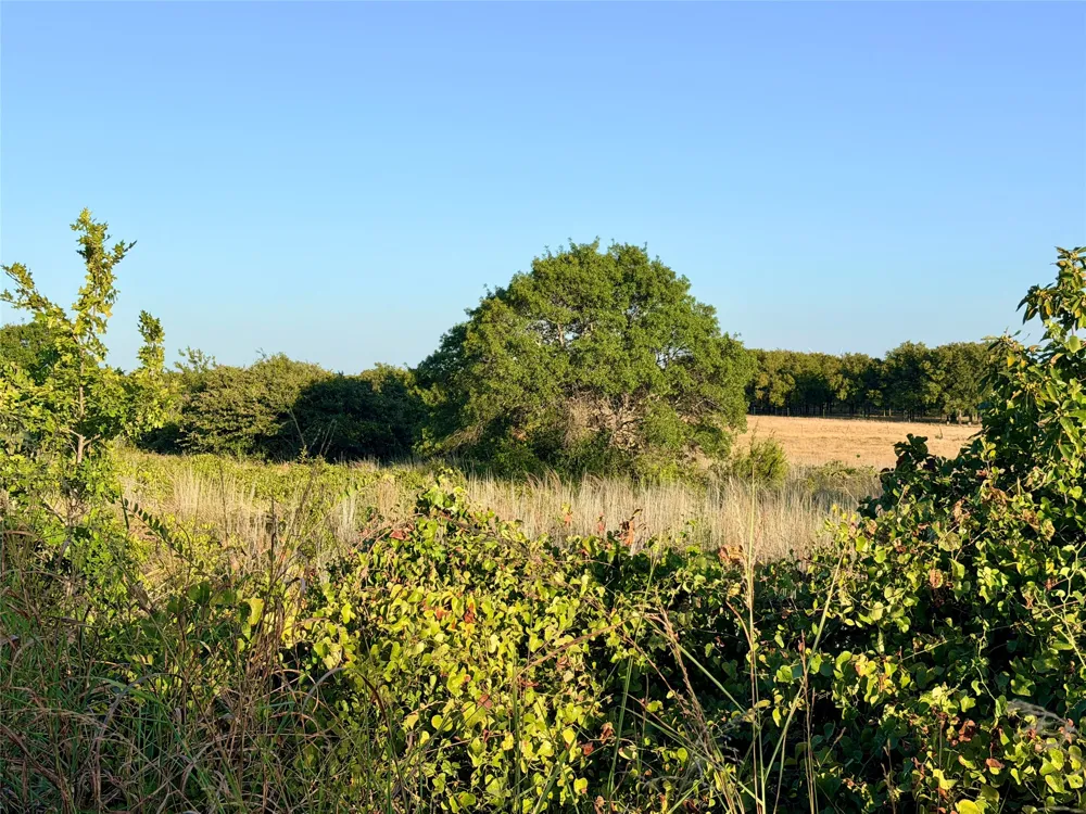 37 Pr 224 Goldthwaite, TX 76844