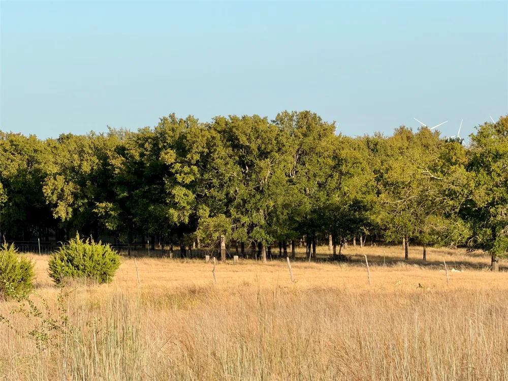 37 Pr 224 Goldthwaite, TX 76844