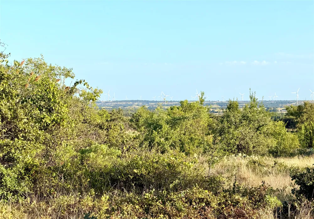 37 Pr 224 Goldthwaite, TX 76844