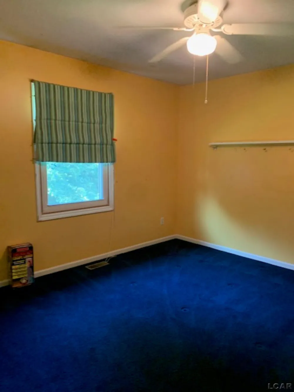 3394 W Circle Drive Adrian Township, MI 49221