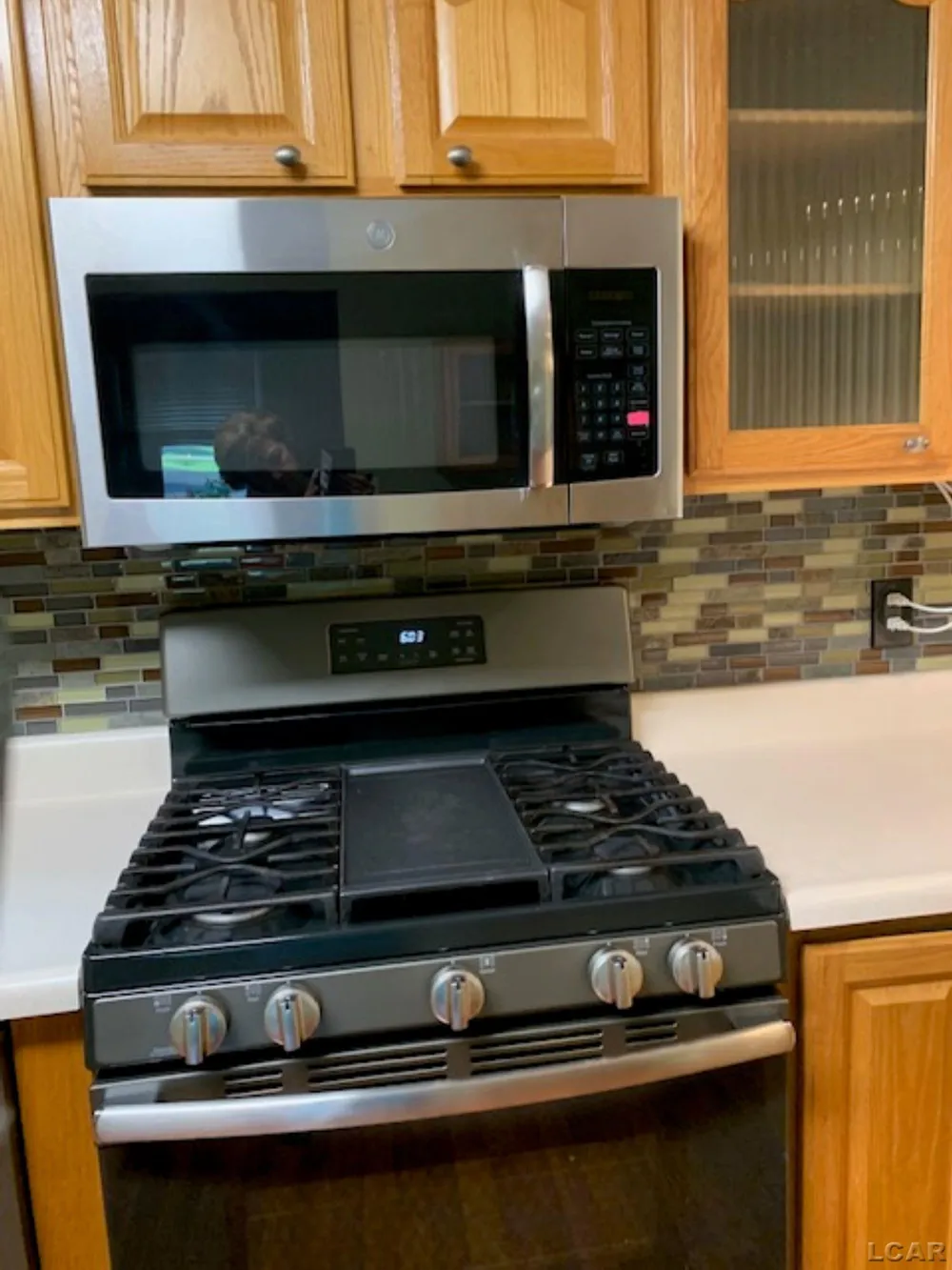 3394 W Circle Drive Adrian Township, MI 49221