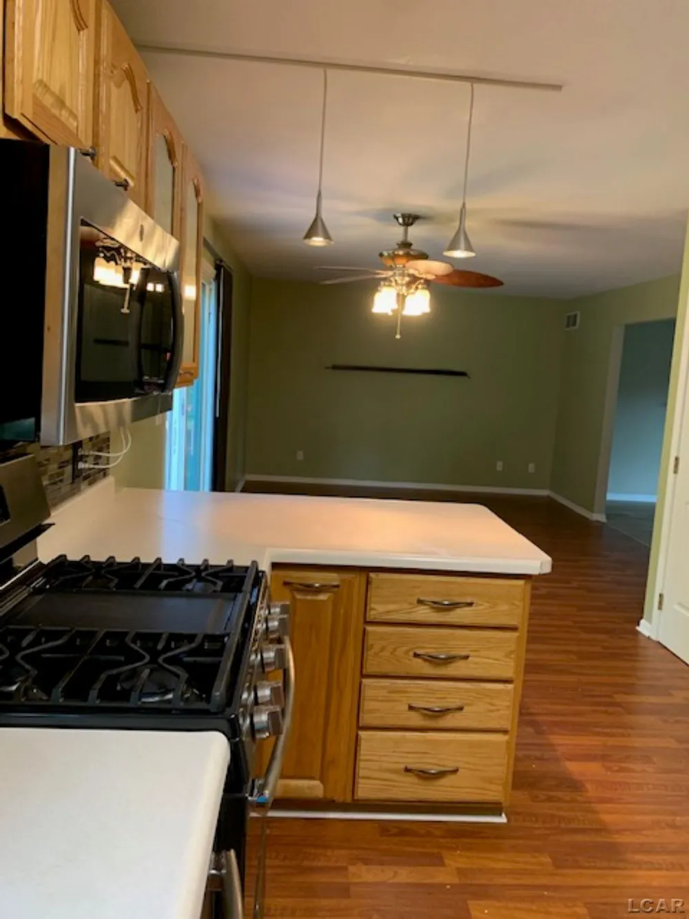 3394 W Circle Drive Adrian Township, MI 49221