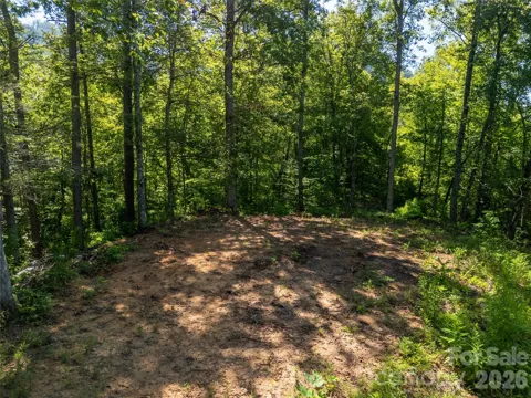 Lot C Claude Cook Road