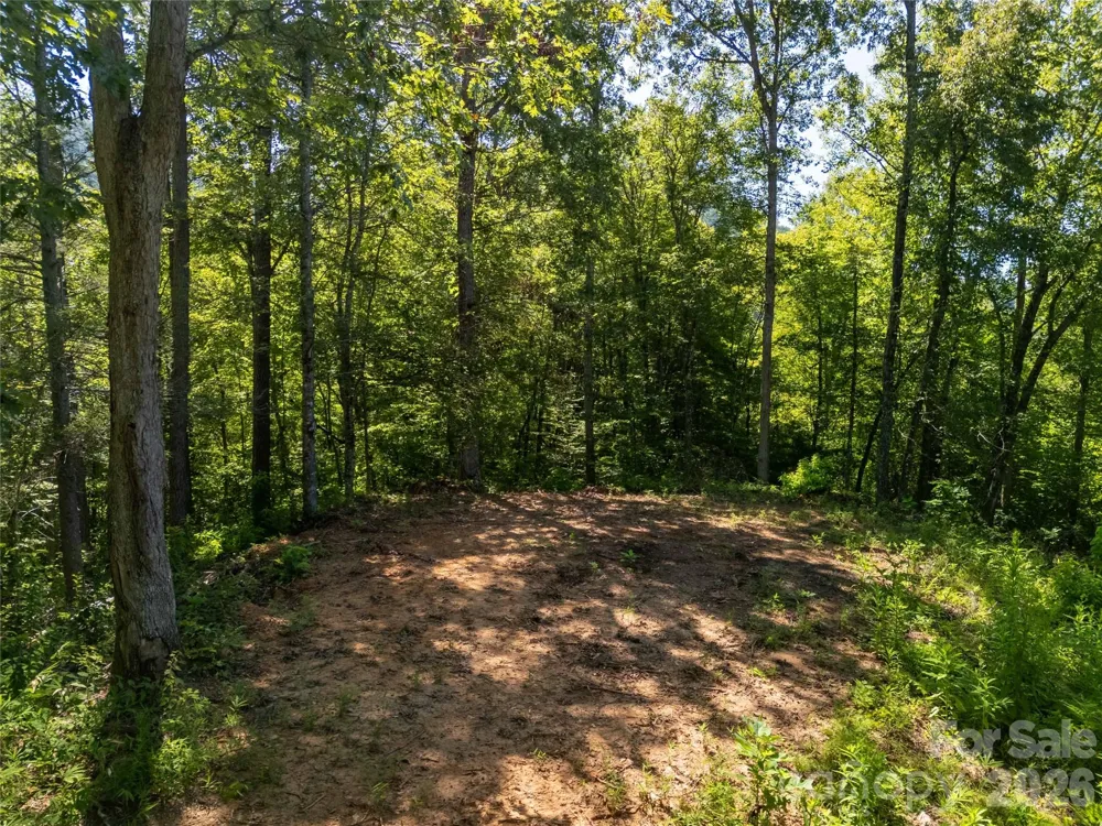 Lot C Claude Cook Road Sylva, NC 28779