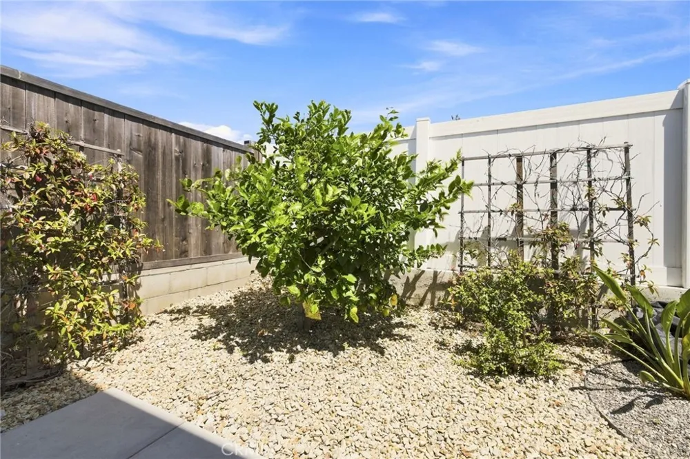341 Main Pismo Beach, CA 93449