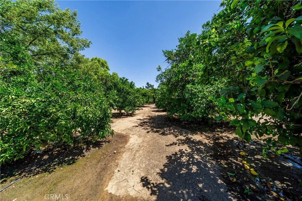 17945 Copper Queen Perris, CA 92570