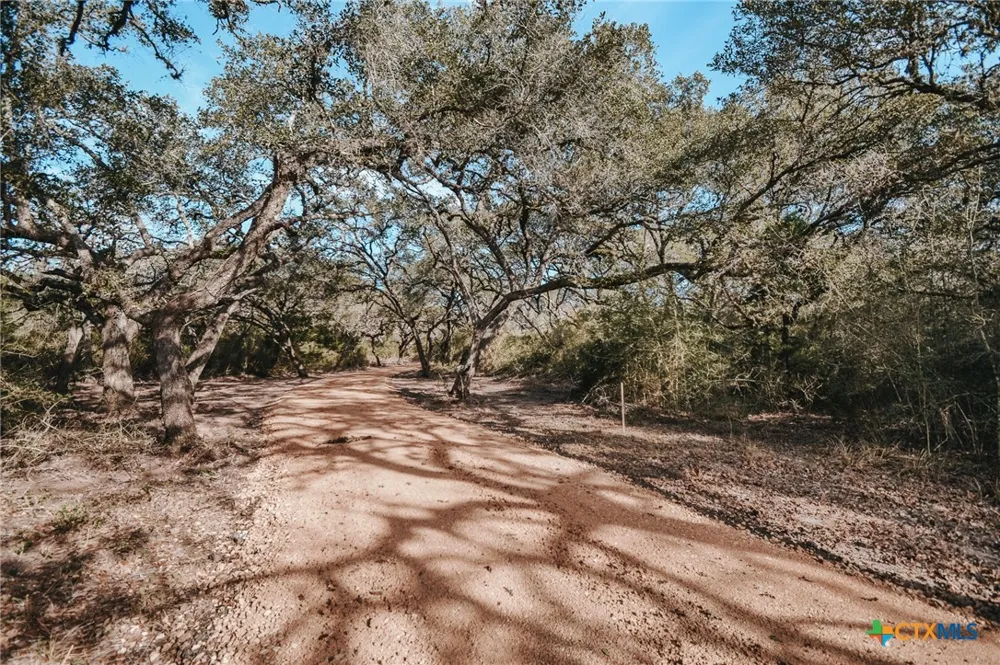 Vitek Lane Inez, TX 77968
