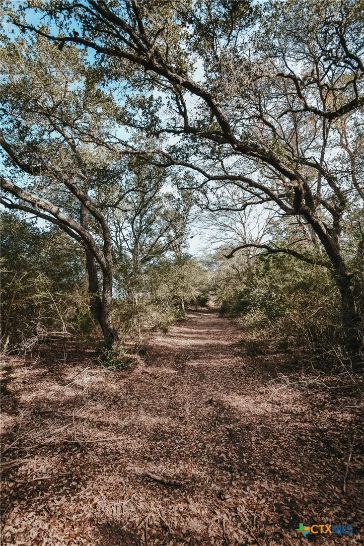 Vitek Lane Inez, TX 77968