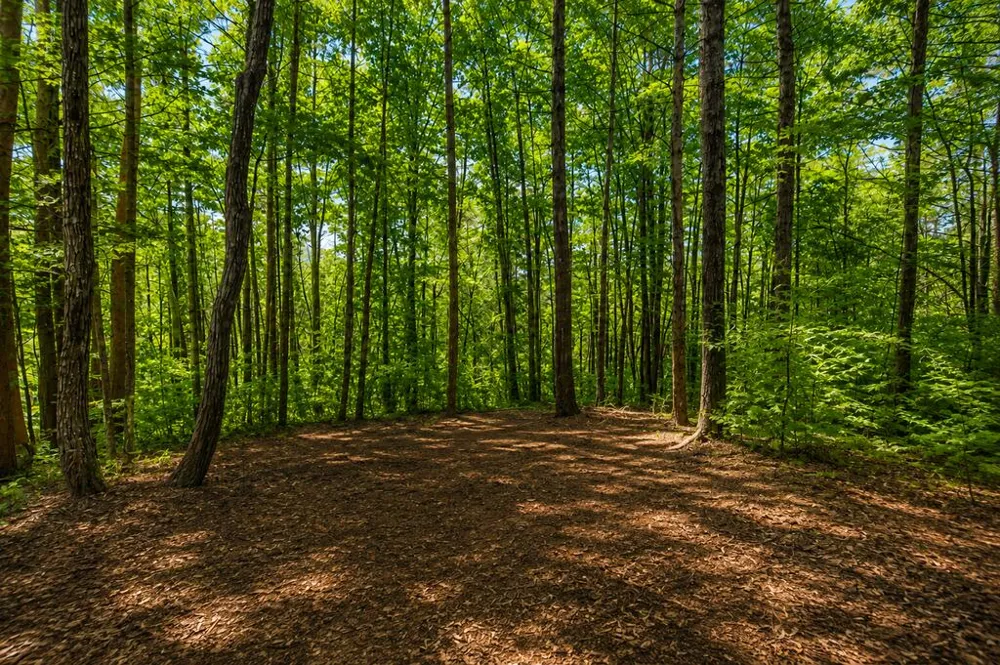 11296 Old Ccc Camp Road Chatsworth, GA 30705