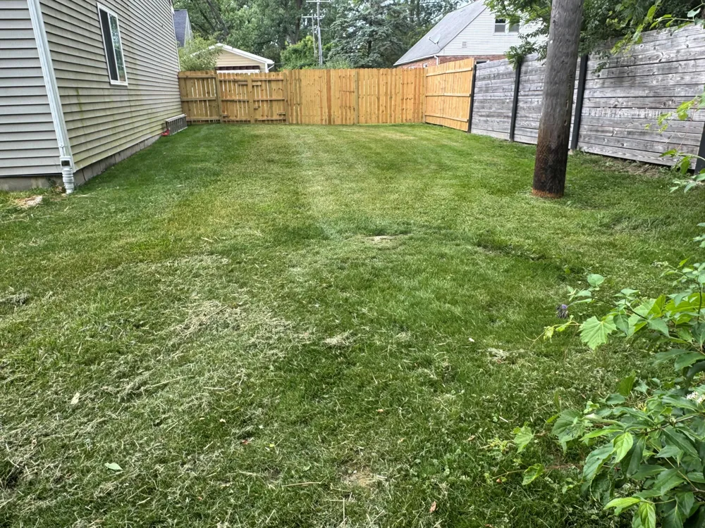 2 Maple Vlg Court Ann Arbor City, MI 48103