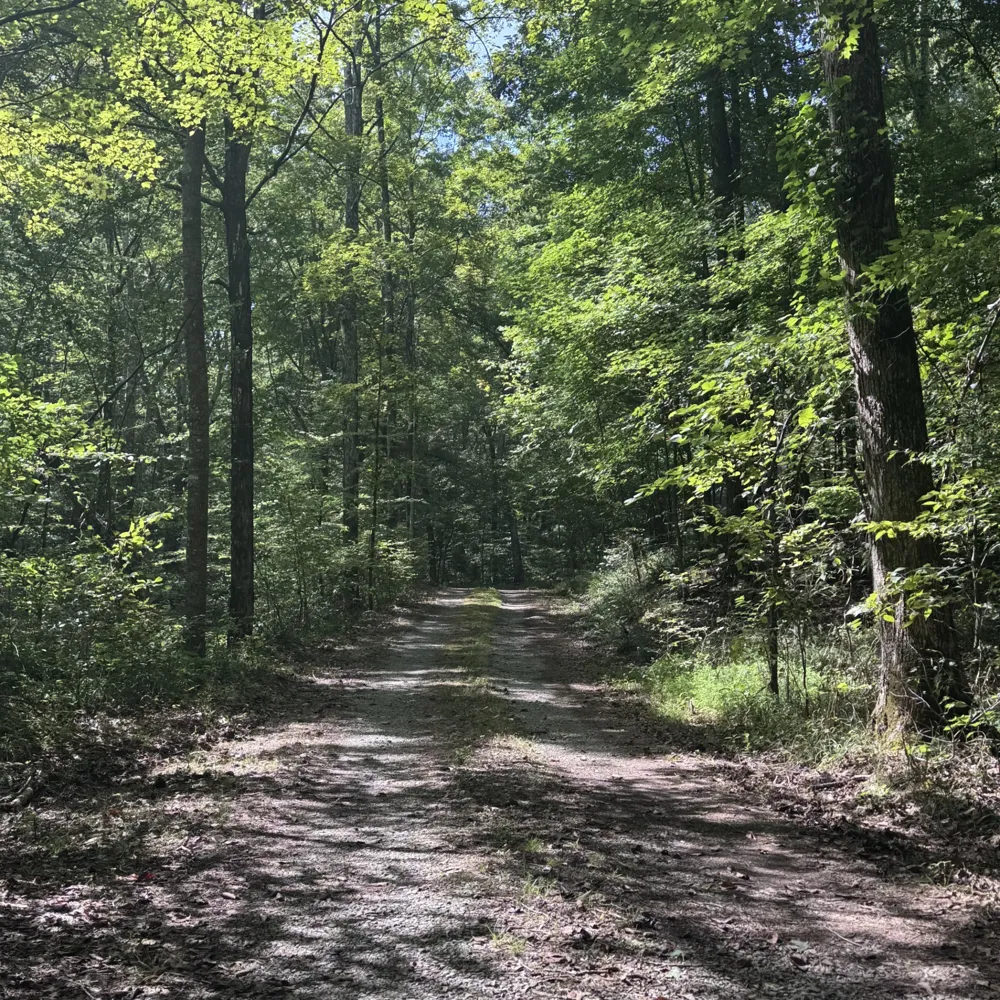 1336 Big Tom Rd Kingston Springs, TN 37082