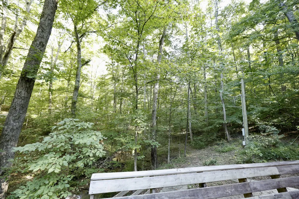 1336 Big Tom Rd Kingston Springs, TN 37082