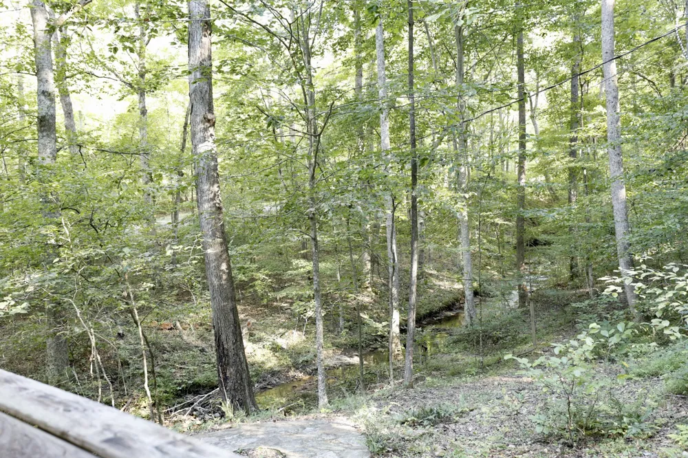 1336 Big Tom Rd Kingston Springs, TN 37082