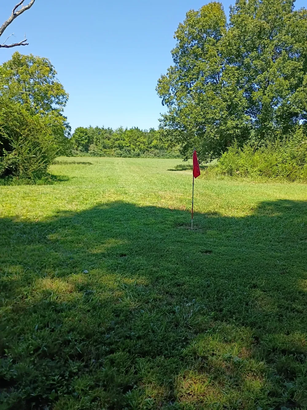 250 Benford Rd Shelbyville, TN 37160