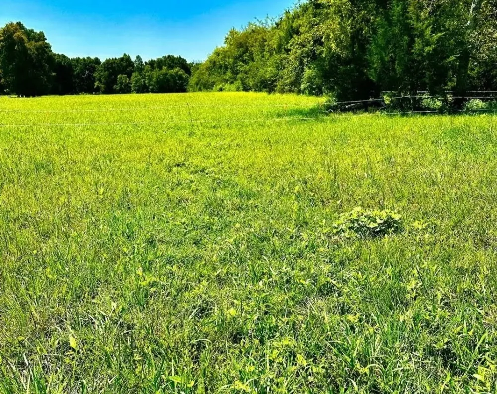 250 Benford Rd Shelbyville, TN 37160