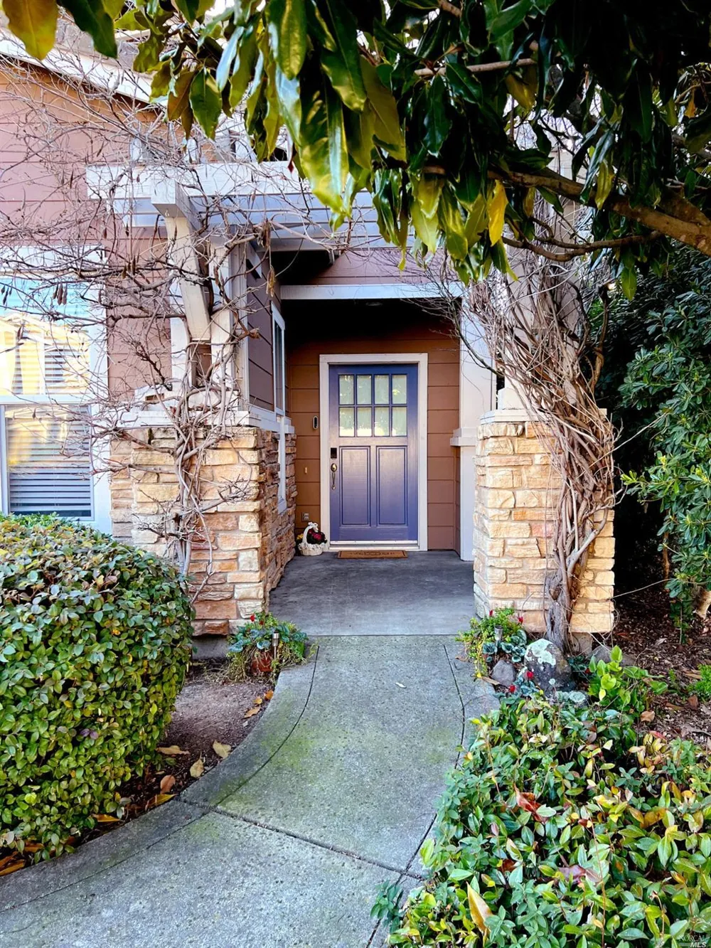 41 Presidio Drive Novato, CA 94949