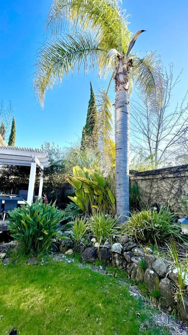 41 Presidio Drive Novato, CA 94949