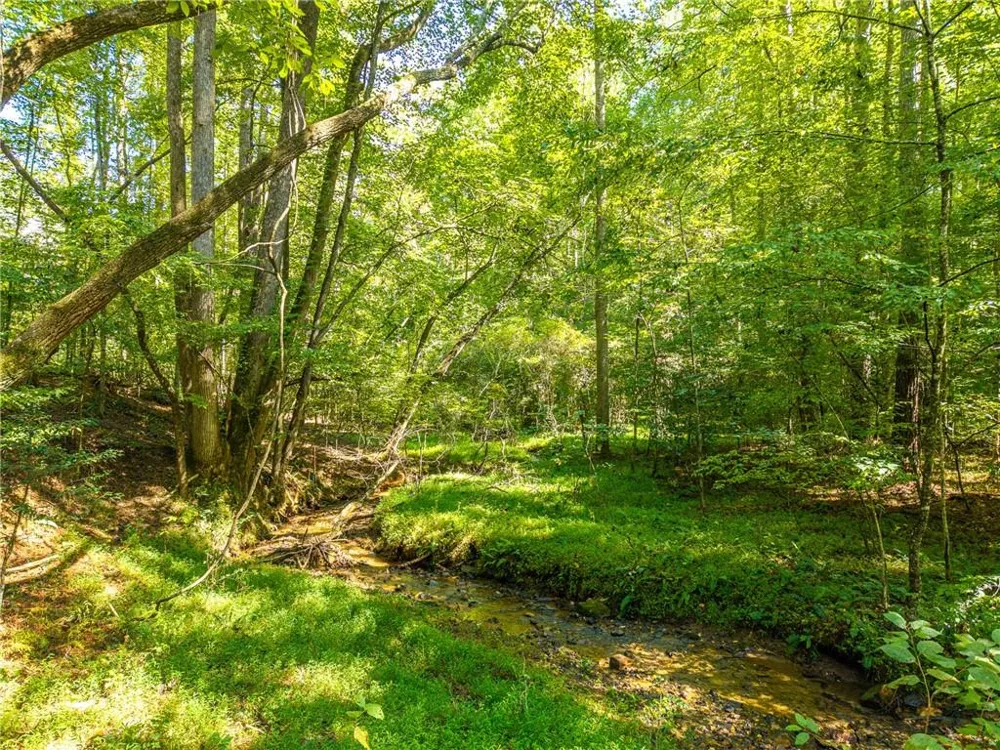 681 Catawba Circle Ellijay, GA 30540