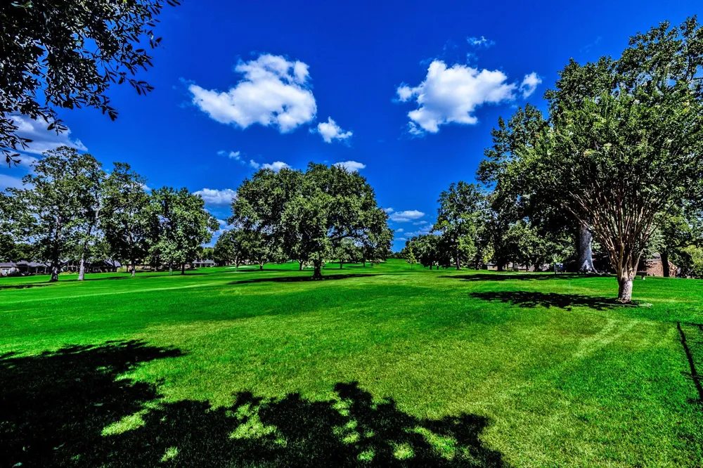 20 Golfview Manor Road Huntsville, TX 77340