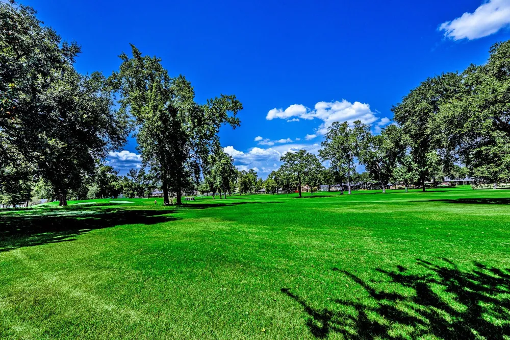 20 Golfview Manor Road Huntsville, TX 77340