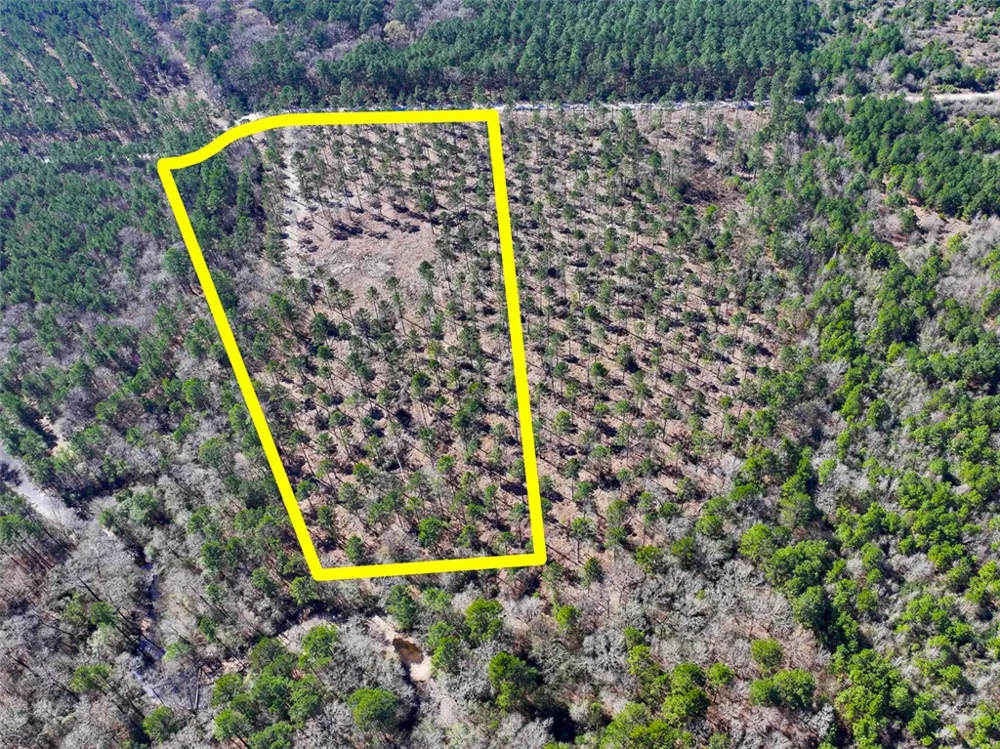 2 Boontown Road Trinity, TX 75845