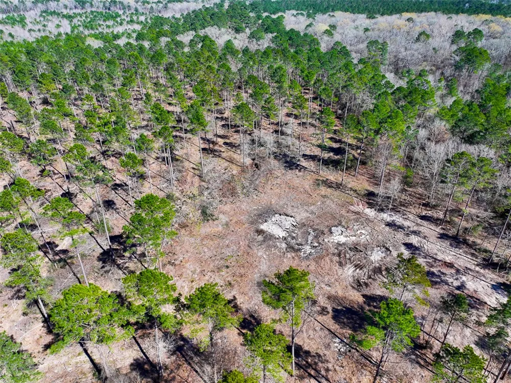2 Boontown Road Trinity, TX 75845