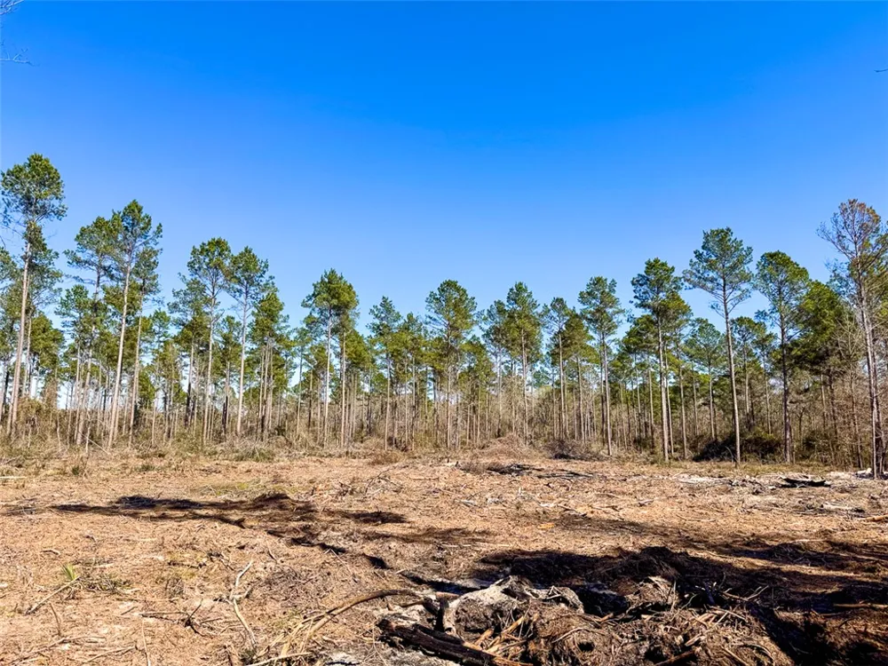 2 Boontown Road Trinity, TX 75845