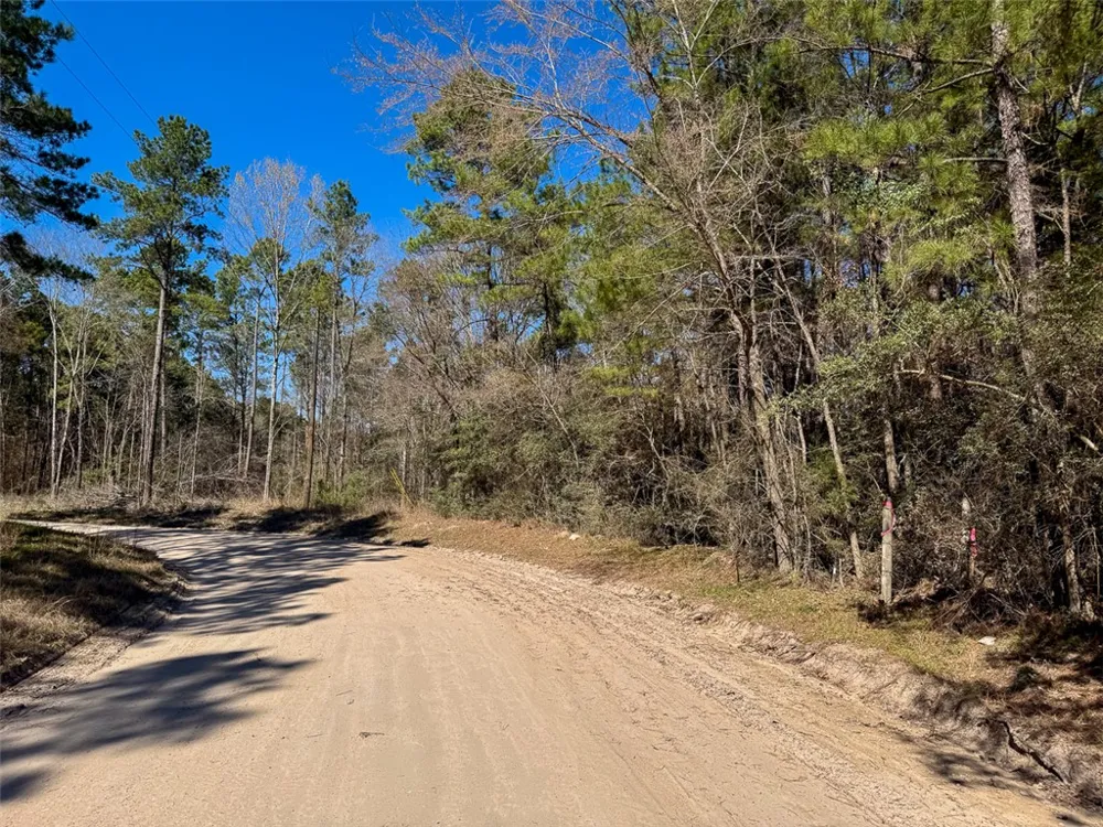 2 Boontown Road Trinity, TX 75845