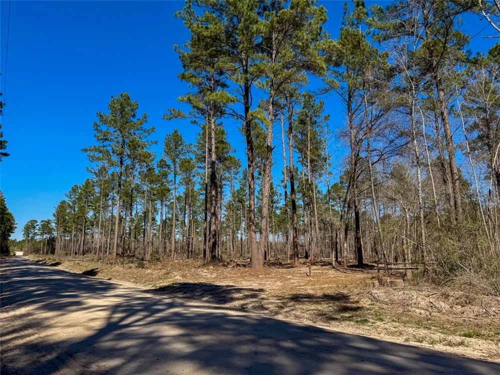 2 Boontown Road Trinity, TX 75845