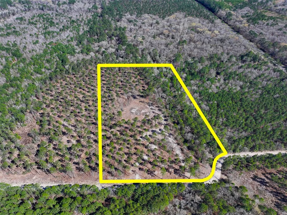 2 Boontown Road Trinity, TX 75845