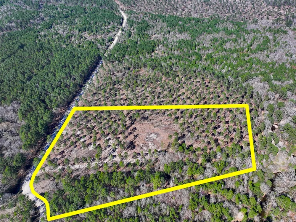 2 Boontown Road Trinity, TX 75845