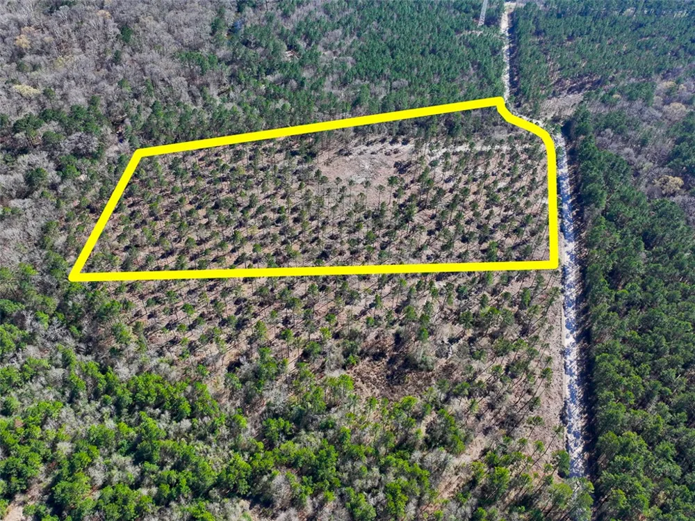 2 Boontown Road Trinity, TX 75845