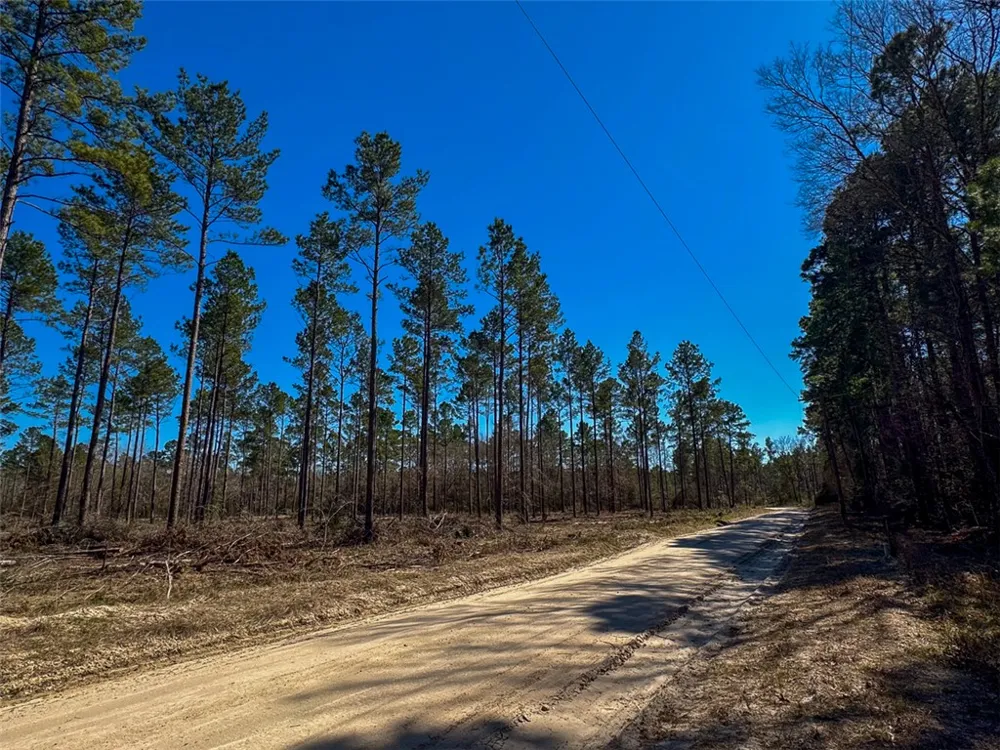 2 Boontown Road Trinity, TX 75845