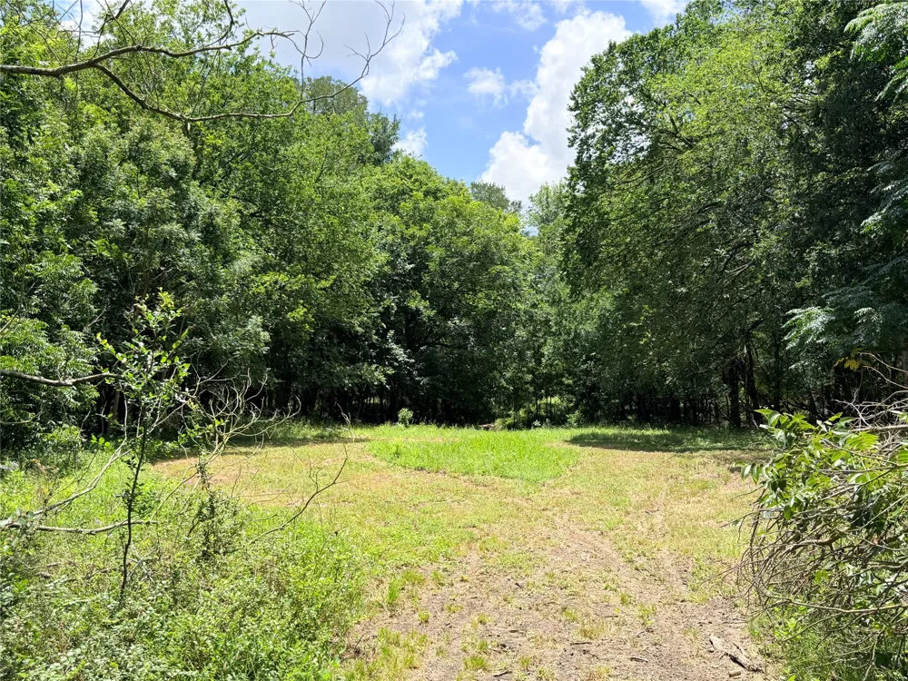 FM 86 Tract 2 Highway Luling, TX 78648