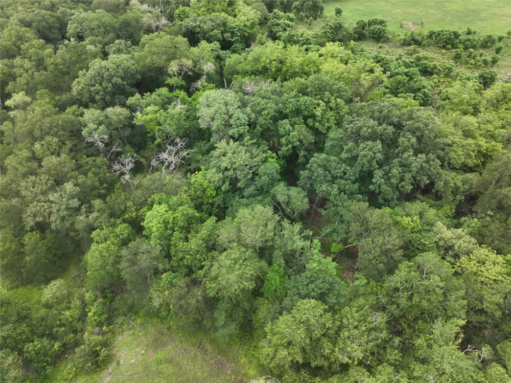 FM 86 Tract 2 Highway Luling, TX 78648