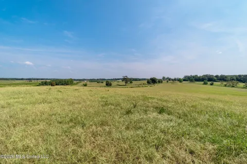 Lot #1 Grady Lewis Road
