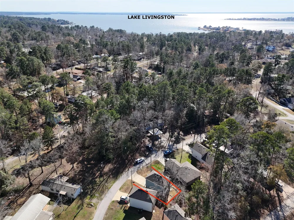 144 Black Walnut Livingston, TX 77351