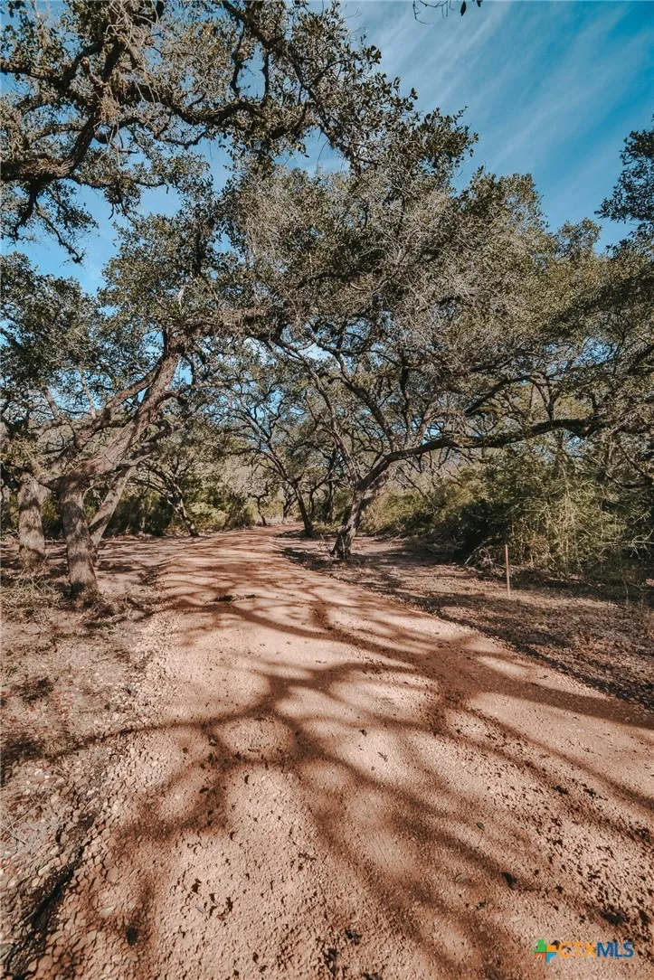 Vitek Lane Inez, TX 77968