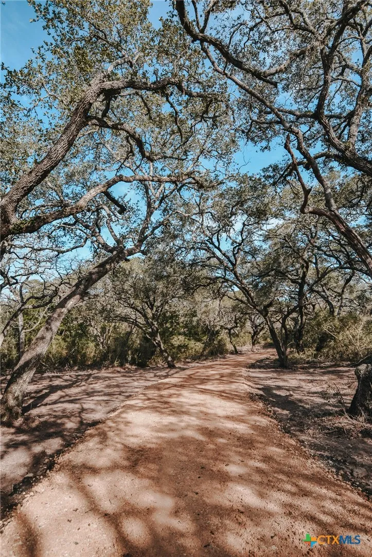 Vitek Lane Inez, TX 77968