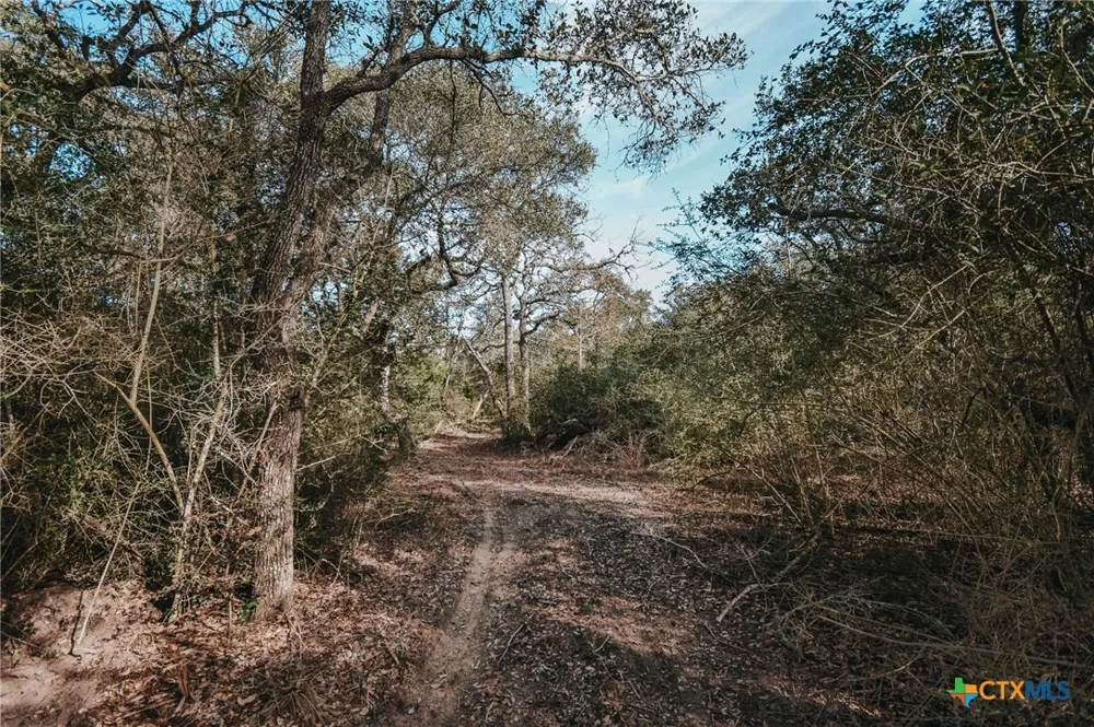 Vitek Lane Inez, TX 77968