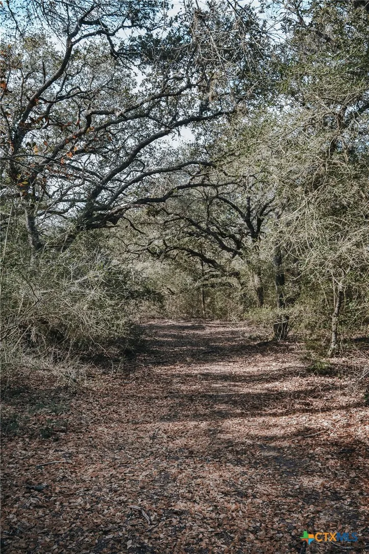 Vitek Lane Inez, TX 77968