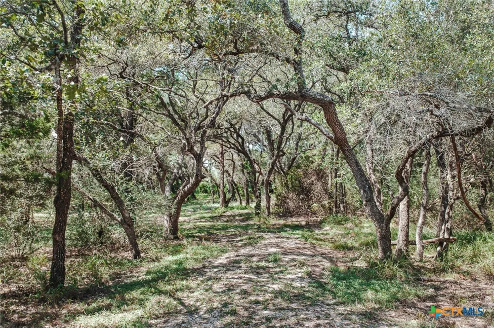 Vitek Lane Inez, TX 77968
