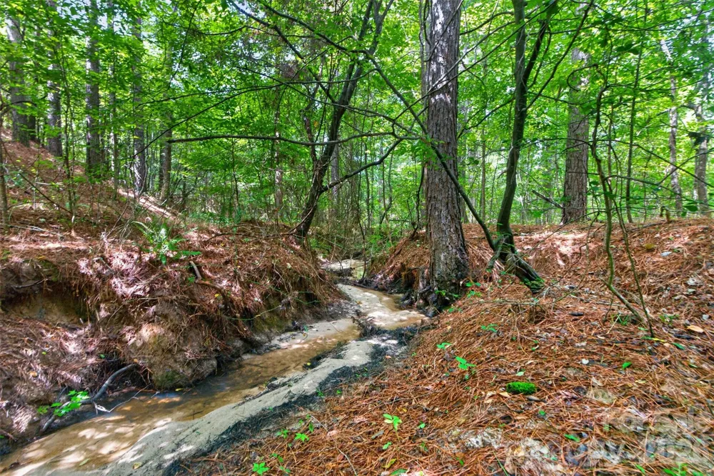 0000 Westbrook Road #5 Edgemoor, SC 29712